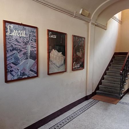 Buonanotte Rooms Lucca Eksteriør billede